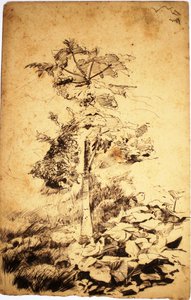 パパイヤの木 作： Eliseu Visconti